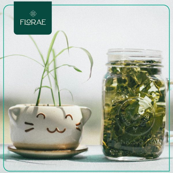 Té Verde (100g) - Imagen 3