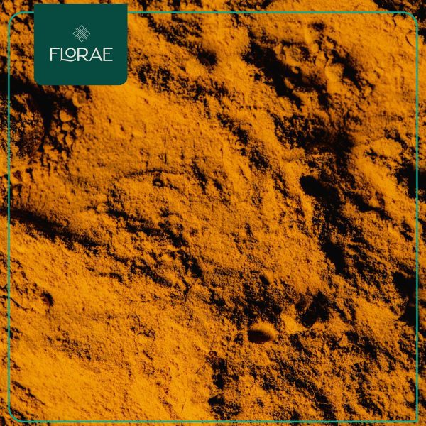Cúrcuma (100g) - Imagen 3
