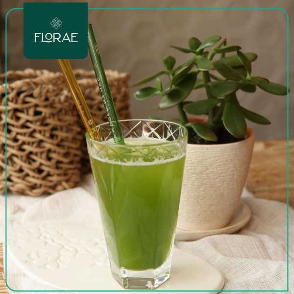 Wheatgrass Pasto de Trigo en Polvo (150g) - Imagen 2